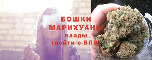 дурь Сатка